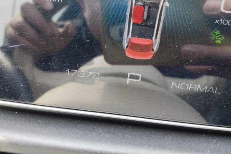 Used ORA Good Cat 2024 401 km Luxury Version