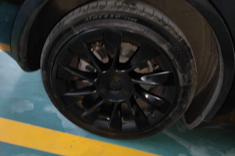 Used Tesla Model Y 2021 Standard Range Rear-Wheel Drive Version
