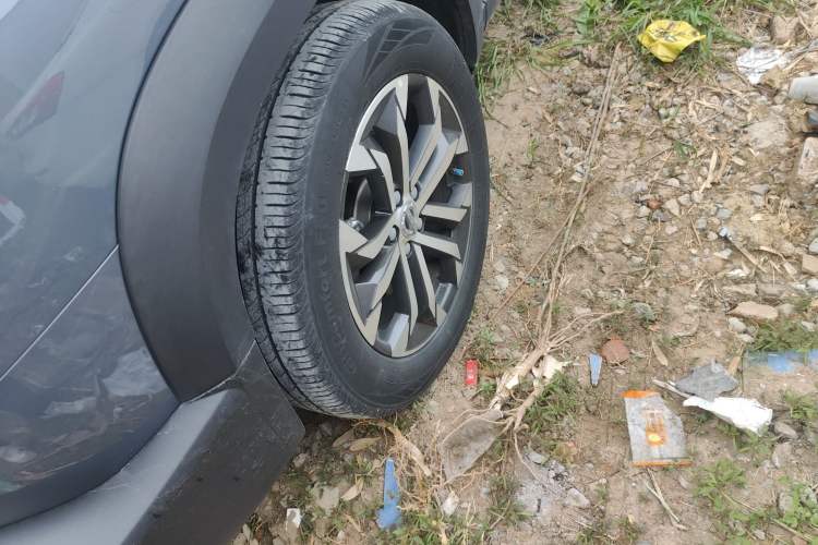 Used Haval DARGO 2022 1.5T DCT Two-Wheel Drive Border Collie Edition