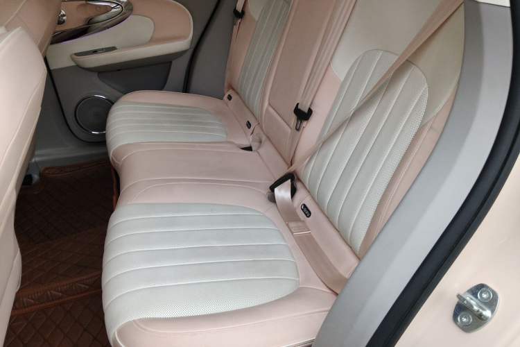 Used ORA Ballet Cat 2022 500 km Swan Lake Edition