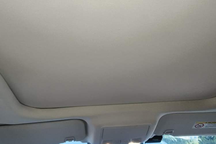 Used Ford Escape 2020 EcoBoost 245 Four-Wheel Drive Luxury Edition Headliner