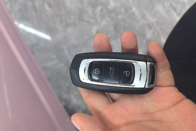 Used Geely Galaxy Panda 2023 Panda Mini 200km Endurance Bear Vehicle Key