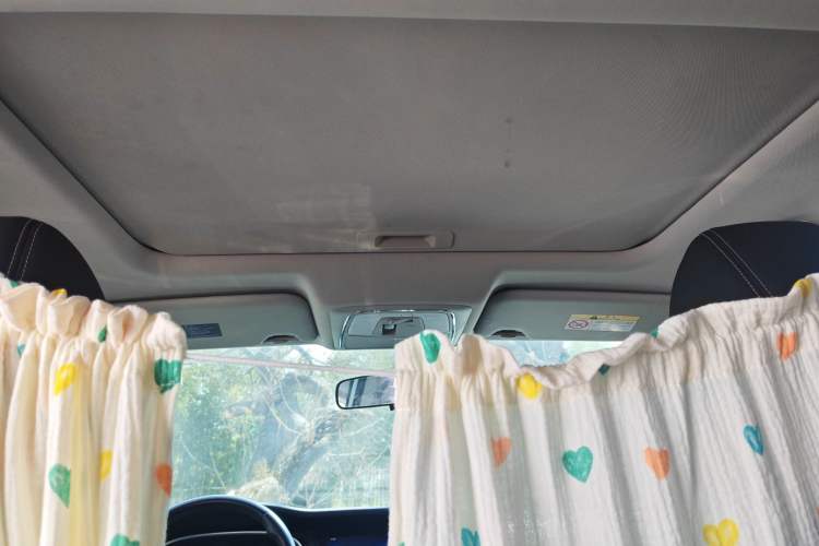 Used Venucia T90 2018 2.0L CVT Smart Connect Luxury Edition China V Standard