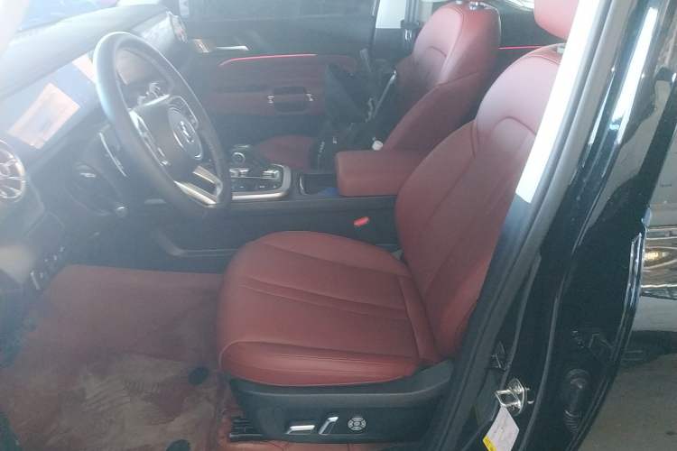 Used Tank 300 2024 2.0T Conqueror