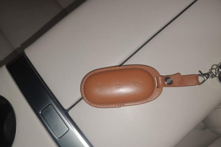 Used Li Auto L9 2023 Pro Model
