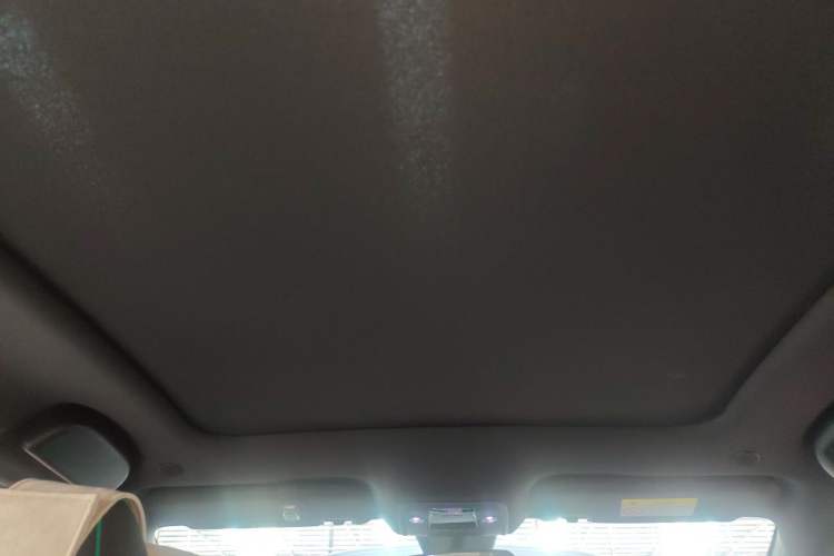 Used BYD Dolphin 2024 Honor Edition 420km Fashion Version Headliner