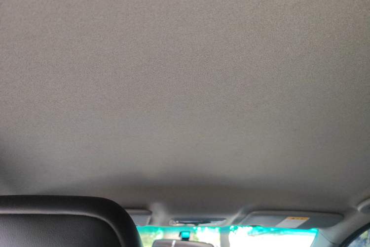 Used Luxgen U5 EV 2018 360 Elite Edition
