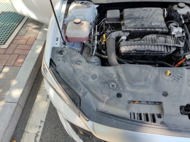 Used BYD Qin PLUS 2024 HONOR Edition DM-i 55KM Leading Model — 26