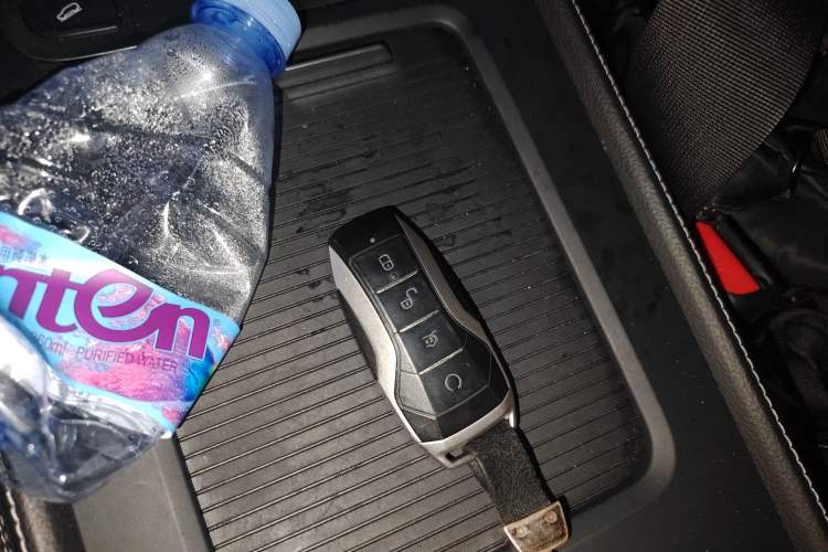 Used BYD Tang 2019 2.0T Automatic SmartConnect Luxury 7-Seater China VI Standard