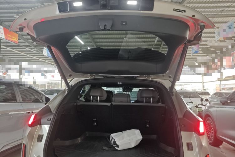 Used Lynk & Co 08 EM-P 2025 220 km All-Wheel-Drive Performance Halo
