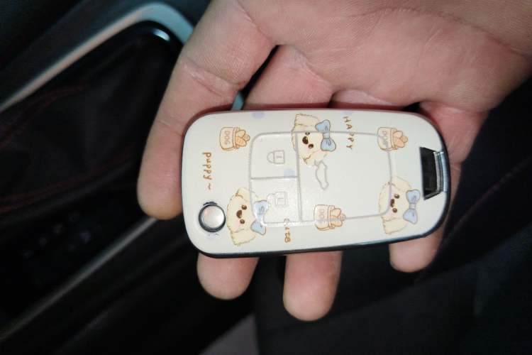 Used Chevrolet Monza 2019 Redline 320T Dual-Clutch Joyful Edition China VI Standard