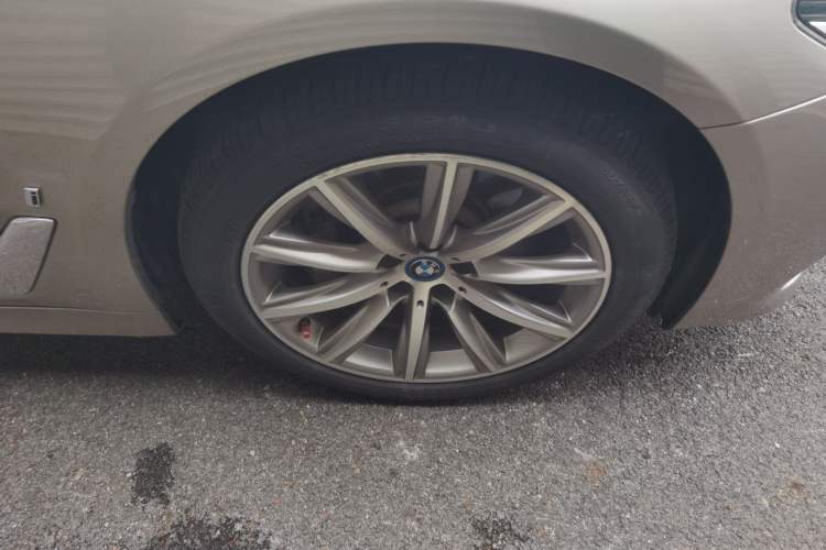 Used BMW 5 Series New Energy 2018 530Le Luxury Package