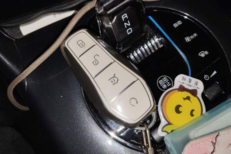 Used BYD e2 2023 Luxury Model Vehicle Key