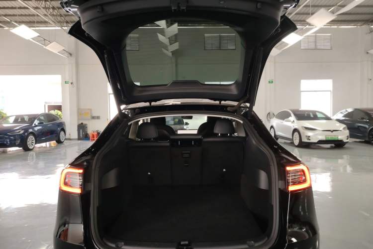 Used Tesla Model Y 2021 Standard Range Rear-Wheel Drive Version
