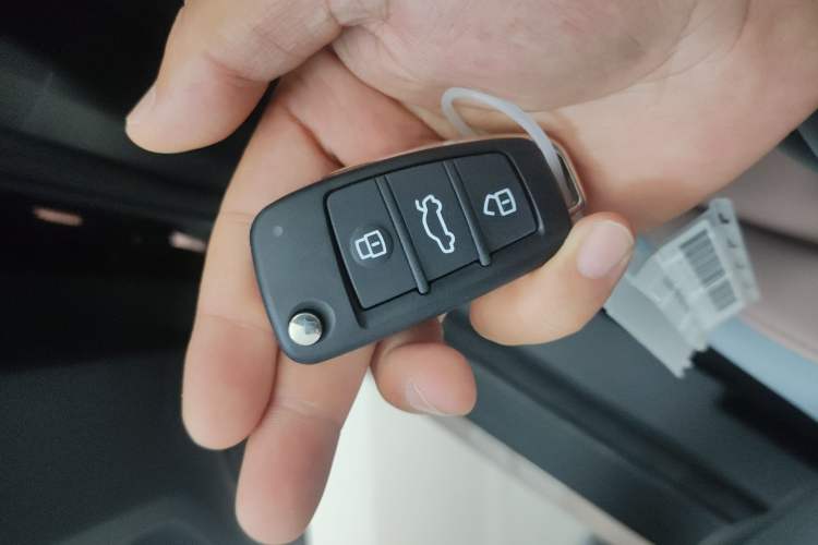 Used Chery New Energy QQ Ice Cream 2024 Edition Youth Version 205km Sundae