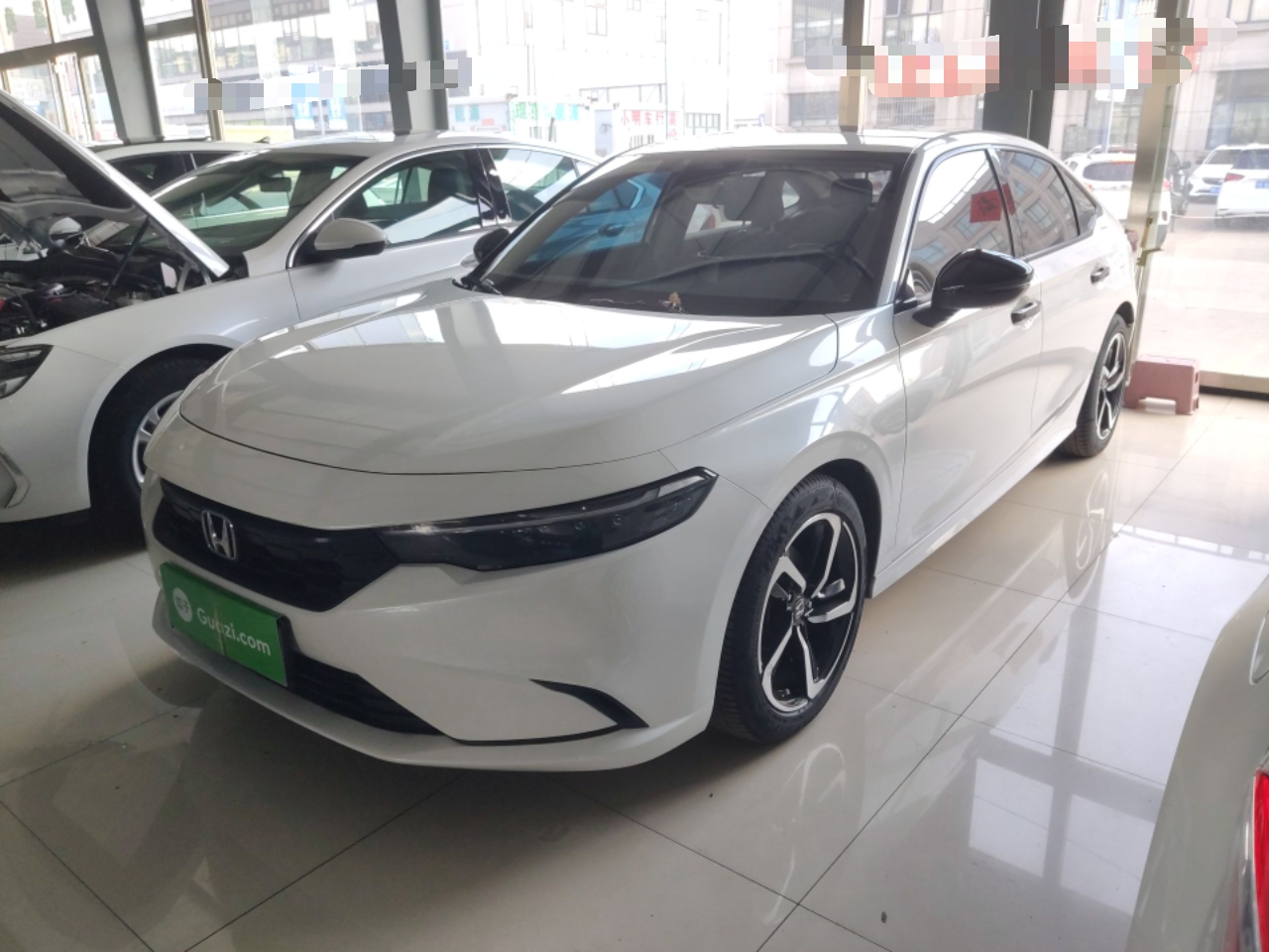 Parte inferior delantera