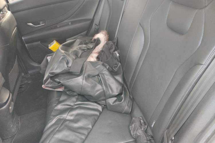 Used Hyundai Elantra 2021 1.5L CVT LUX Prestige Edition Left Rear Seat