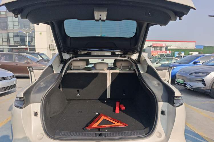 Used IM LS6 2023 Max Long-Range Version
