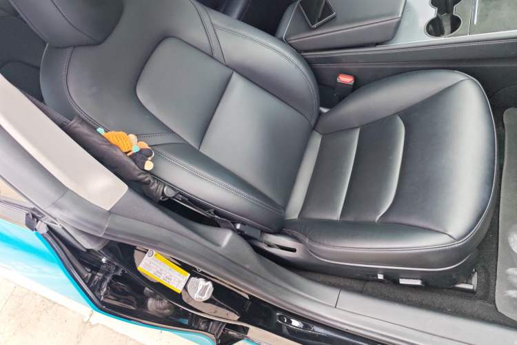 Used Tesla Model 3 2022 Rear-Wheel-Drive Version Right Front Seat