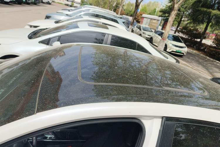 Used Buick Verano 2022 Pro GS Gale Edition
