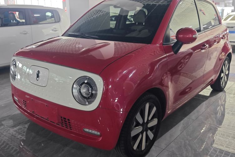 Used ORA Black Cat 2019 351 km Goddess Edition