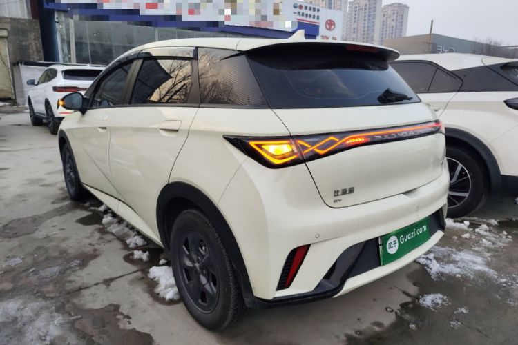 Used BYD Dolphin 2024 Honor Edition 302km Dynamic Version
