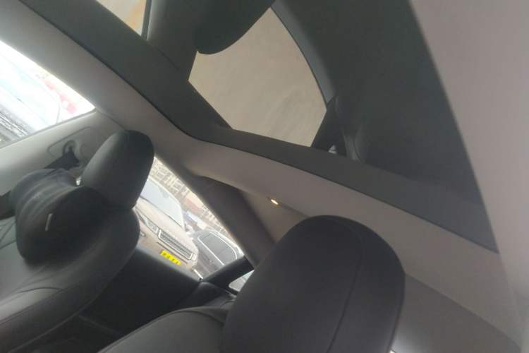 Used Tesla Model 3 2022 Rear-Wheel-Drive Version Headliner