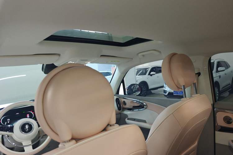 Used ORA Ballet Cat 2022 401 km Nutcracker Edition