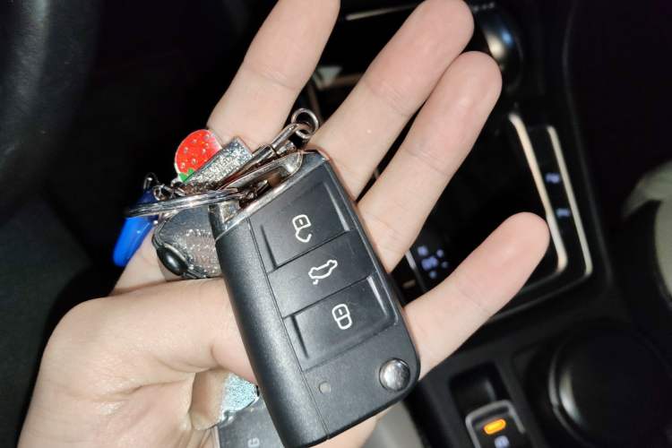 Used Volkswagen Golf 2017 230TSI Automatic Luxury Million-Vehicle Commemorative Edition