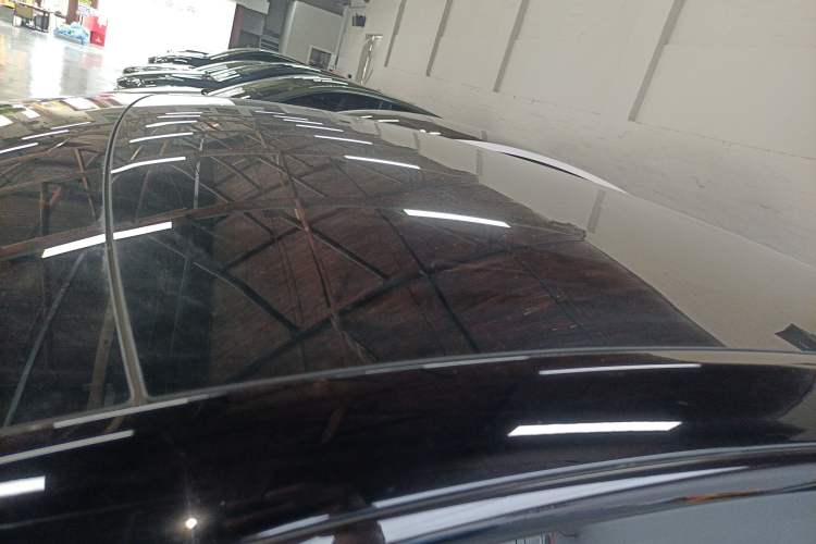 Used Tesla Model Y 2021 Standard Range Rear-Wheel Drive Version Roof