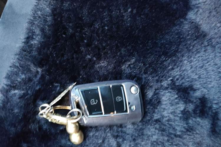 Used Volkswagen Golf 2020 Zhiai Edition 280TSI DSG Luxury Model
