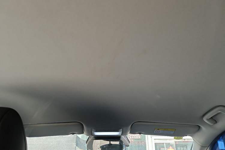 Used Baojun Yunhai 2024 600km Pure Electric Version Headliner