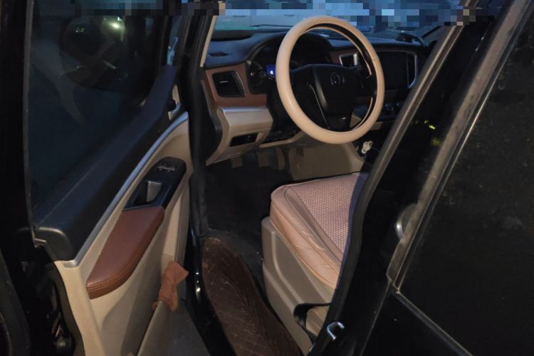 Used FORTHING Lingzhi 2020 M5L 2.0L Base Model 7 Seats
