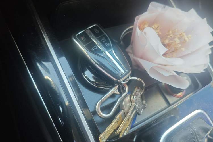 Used Hongqi HS5 2022 Revised Version 2.0T Smart Connect Flagship Edition Vehicle Key