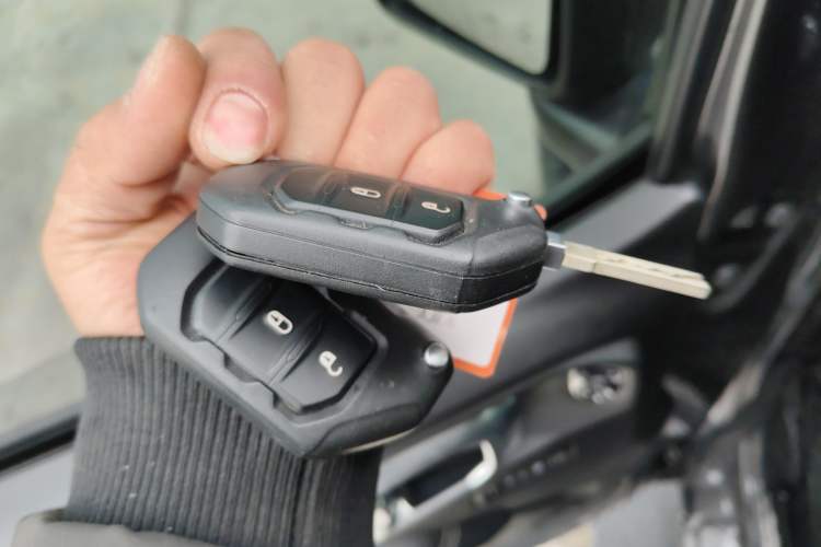 Used Jeep Wrangler 2019 2.0T Sahara Four-Door Version China VI Emission Standard