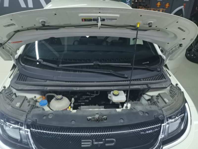 Used BYD Dolphin 2025 420km Free Edition — 20