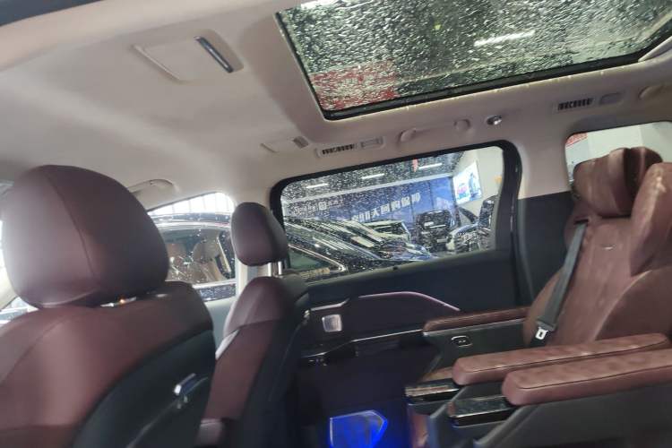 Used Hongqi HQ9 2023 2.0T Smart Connect Flagship Edition