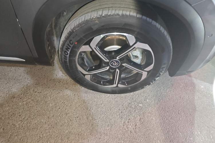 Used BYD Yuan PLUS 2025 Intelligent Driving Version 510 km Leading Edition
