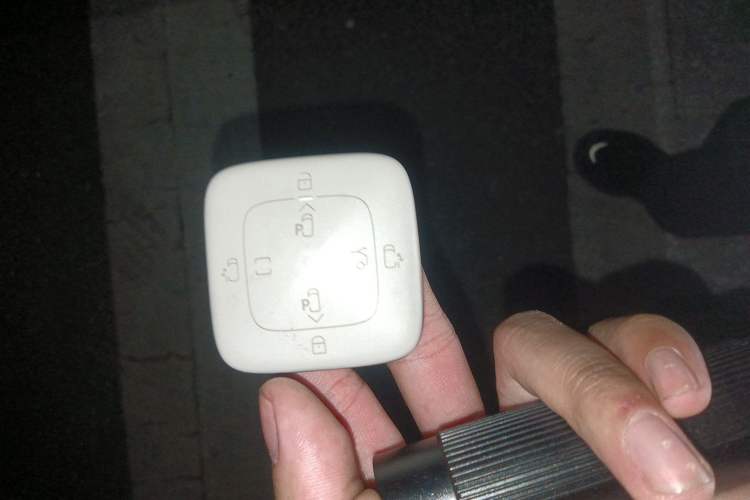 Used Zeekr 009 2024 Six-Seat Executive Version 4WD 108 kWh
