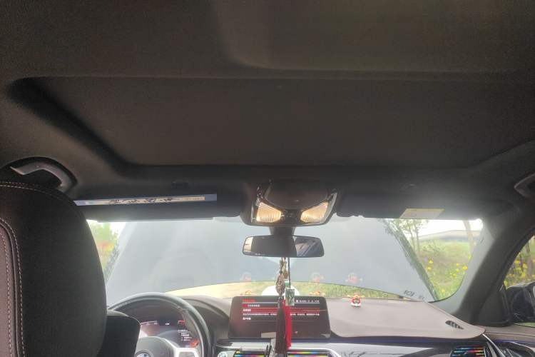 Used BMW 5 Series 2021 525Li M Sport Package Headliner