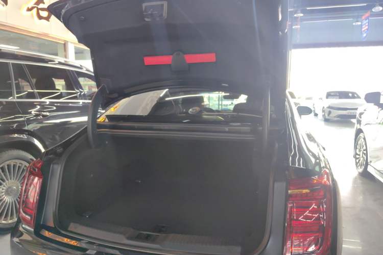 Used Hongqi H9 2020 2.0T Smart Connect Flagship Edition Trunk