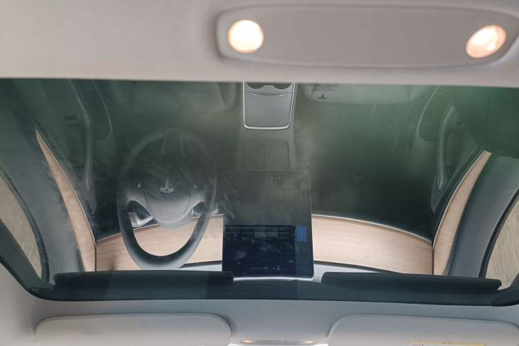 Used Tesla Model 3 2021 Performance High-Performance All-Wheel-Drive Version Headliner