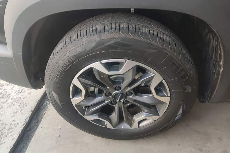 Used Haval DARGO 2024 2.0T DCT Chinese Rural Dog Edition
