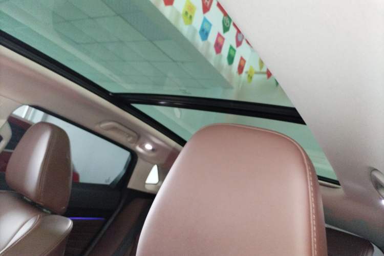 Used Wey P8 2018 2.0T Prestige Version