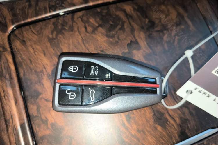 Used Hongqi HS5 2022 Revised Version 2.0T Smart Connect Flagship Edition Vehicle Key