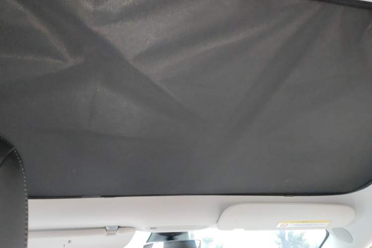 Used Tesla Model 3 2021 Revised Version II – Performance High-Performance All-Wheel-Drive Edition Headliner