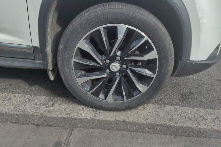 Used FORTHING T5L 2020 1.8T Manual Luxury 7-Seater China VI Standard