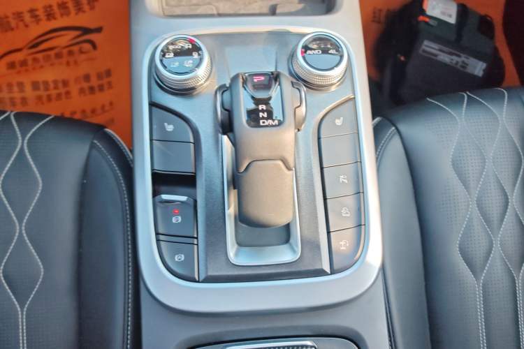 Used Tank 300 2021 City Edition 2.0T My Vision Model