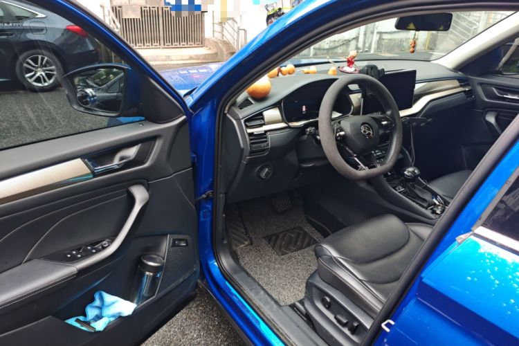 Used Skoda Kodiaq 2022 TSI330 7-Seater Two-Wheel-Drive Luxury Edition