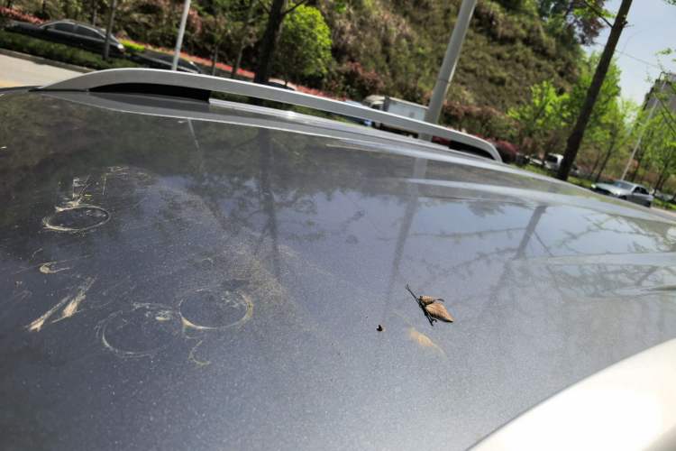 Used SAIC MAXUS T90 2021 2.0T Twin-Turbo Automatic All-Wheel Drive High-Ride Comfort Edition with Extended Cargo Space Roof